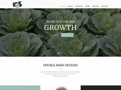 doublebarndesigns.com snapshot