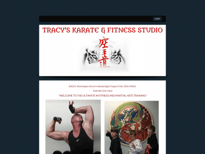 tracyskarateandfitness.com snapshot