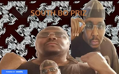 thesouthboanomaly.weebly.com snapshot