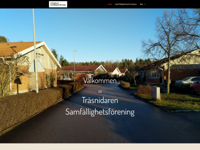 trasnidaren.se snapshot