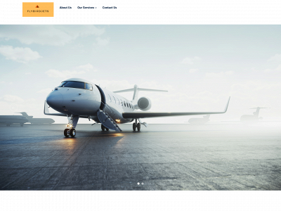 flybirdjets.com snapshot