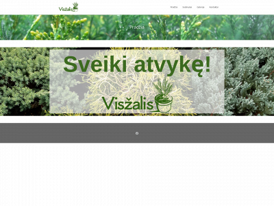 viszalis.lt snapshot