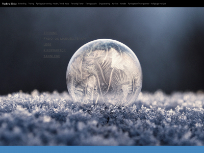 nesbruhelse.no snapshot