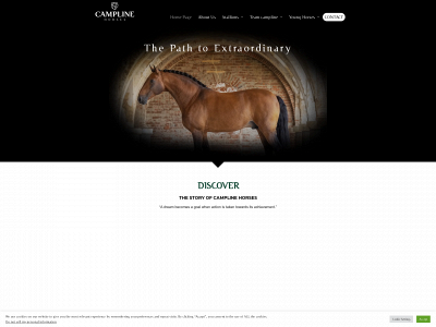 camplinehorses.com snapshot