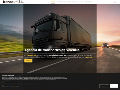 transauri.com snapshot