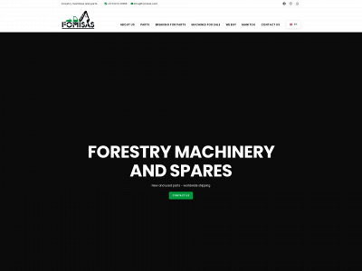 fomisas.com snapshot