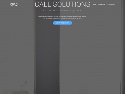 callsolutionsgroup.com snapshot