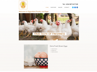 eggcellent-poultry.com snapshot