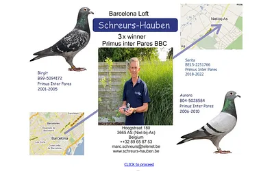 schreurs-hauben.be snapshot