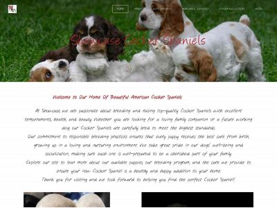 www.showcasecockerspaniels.com snapshot