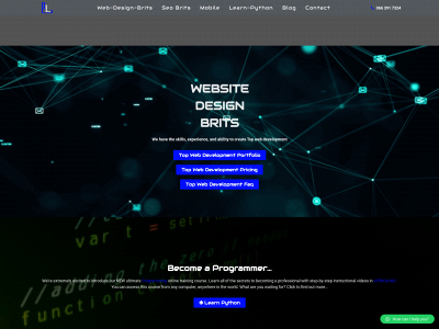 littlefastsolutions.com snapshot