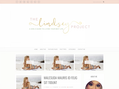 thelindseyproject.com snapshot