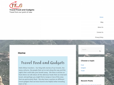 travelfoodandgadgets.com snapshot