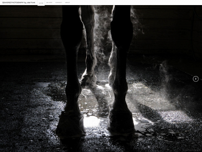 seahorsephoto.com snapshot