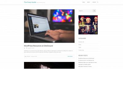 thecrazyhustle.com snapshot