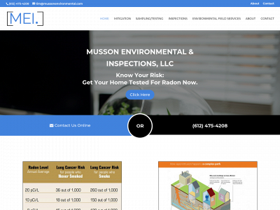 mussonenvironmental.com snapshot