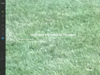 torasbo.se snapshot