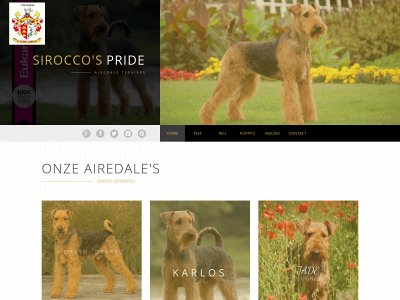 airedale-terriers.be snapshot