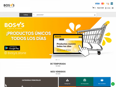 bosys.store snapshot