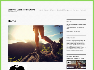 diabeteswellsolutions.com snapshot