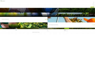 carolinaturfservices.com snapshot