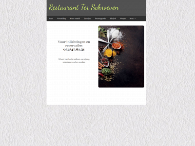 terschroeven.be snapshot