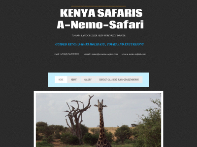 a-nemo-safari.com snapshot