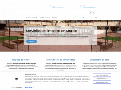 www.limpiasermurcia.com snapshot