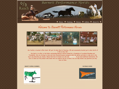 barnettperformancehorses.com snapshot