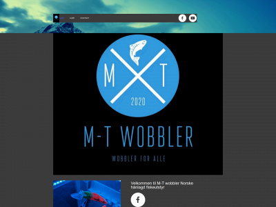 m-t-wobbler.no snapshot