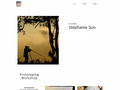 stephaniesun.dk snapshot