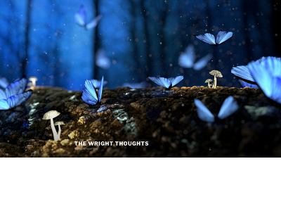 wrighthoughts.com snapshot