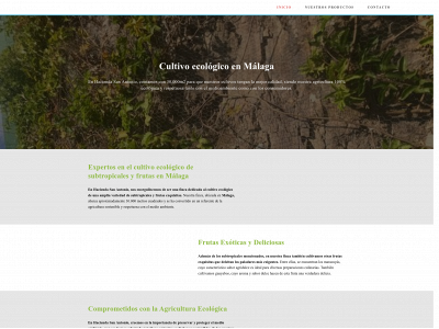 fincasanantonio.com snapshot