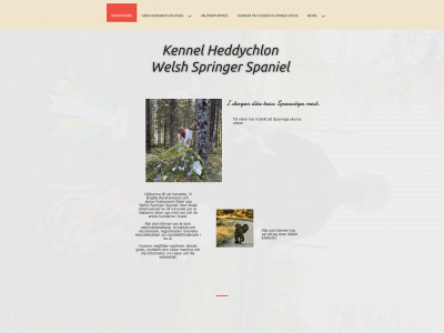 heddychlon.se snapshot