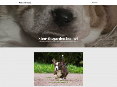 stenviksgarden.se snapshot