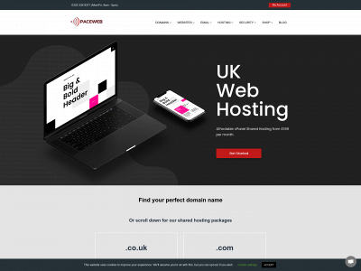 paceweb.co.uk snapshot