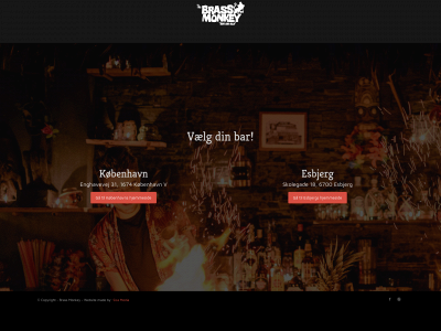 brassmonkey.dk snapshot