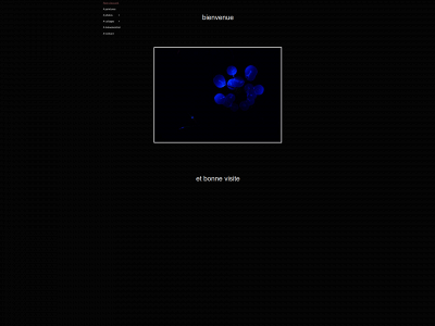henryducos.fr snapshot