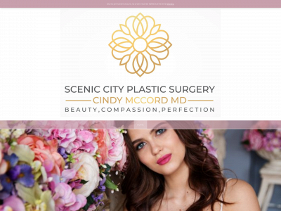sceniccityplasticsurgery.com snapshot