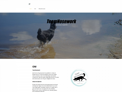 teamnosework.se snapshot