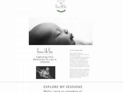 preciouslittlebearphotograhpy.co.uk snapshot