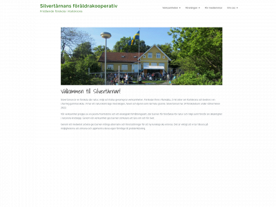 silvertarnan.se snapshot