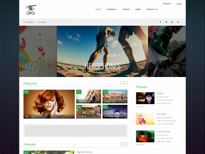 arauae.com snapshot