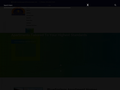 bluespringsapts.com snapshot