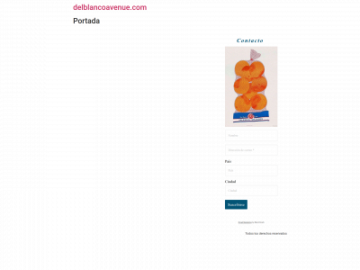 delblancoavenue.com snapshot
