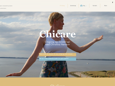 chicare.dk snapshot