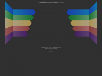 tridentfitnessperformance.com snapshot