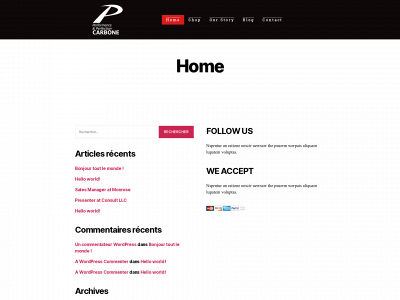 performance-perfection-carbone.com snapshot
