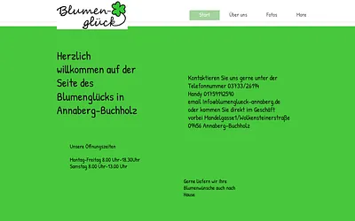 blumenglueck-annaberg.de snapshot
