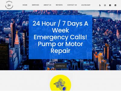 thepumpguys.solutions snapshot